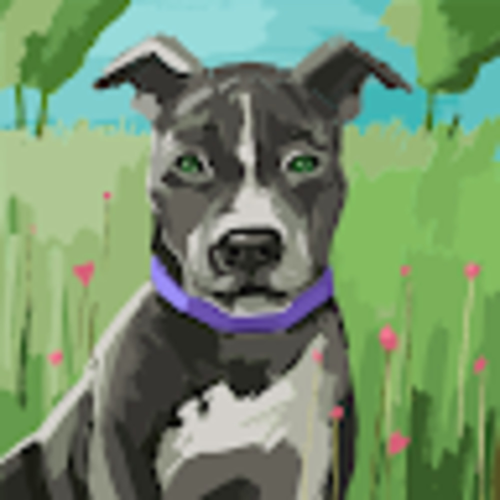 Meet your Posher, Miranda